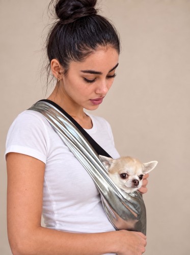Chihuahua w srebrnym nosidle dla małego psa.