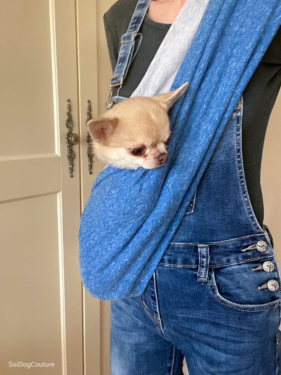 niebiesko szare nosidło dla psa stylowe Sisidogcouture chihuahua w torbie
