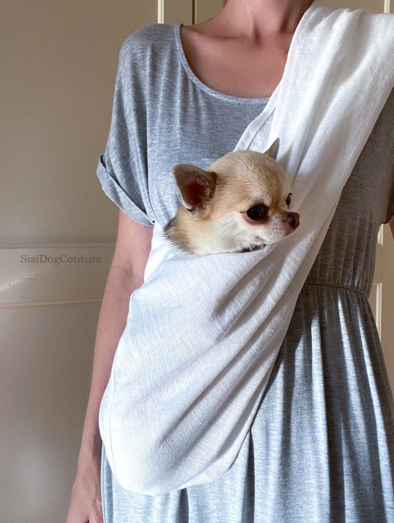chihuahua w lnianym nosidle dla psa