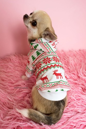 Chihuahua w świątecznej bluzie dla psa z kapturem SisiDogCouture
