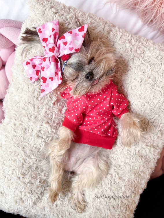Ubranko dla psa z miękkiej bawełnianej dzianiny