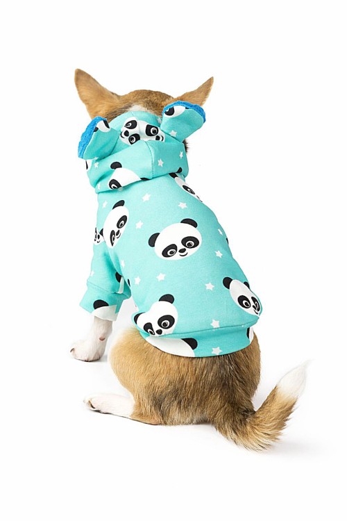 Bluza dla psa premium panda