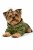 Ubranko dla psa małe rasy wzór militarny