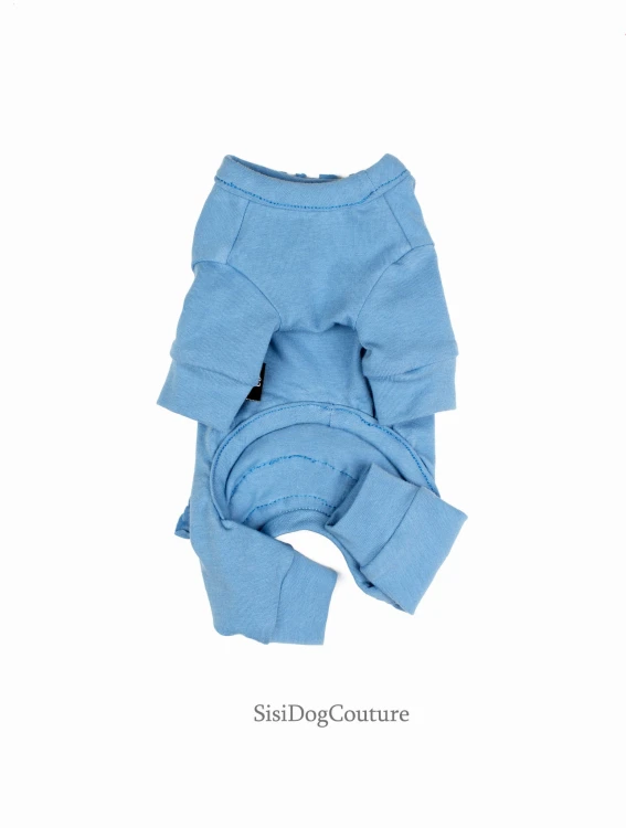 Stylowe ubranie dla psa małej rasy