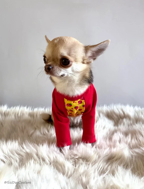 Bluzeczka dla chihuahua w truskawki