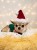 Bluzka elf dla chihuahua