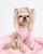 Yorkshire terrier w eleganckiej różowej sukience.
