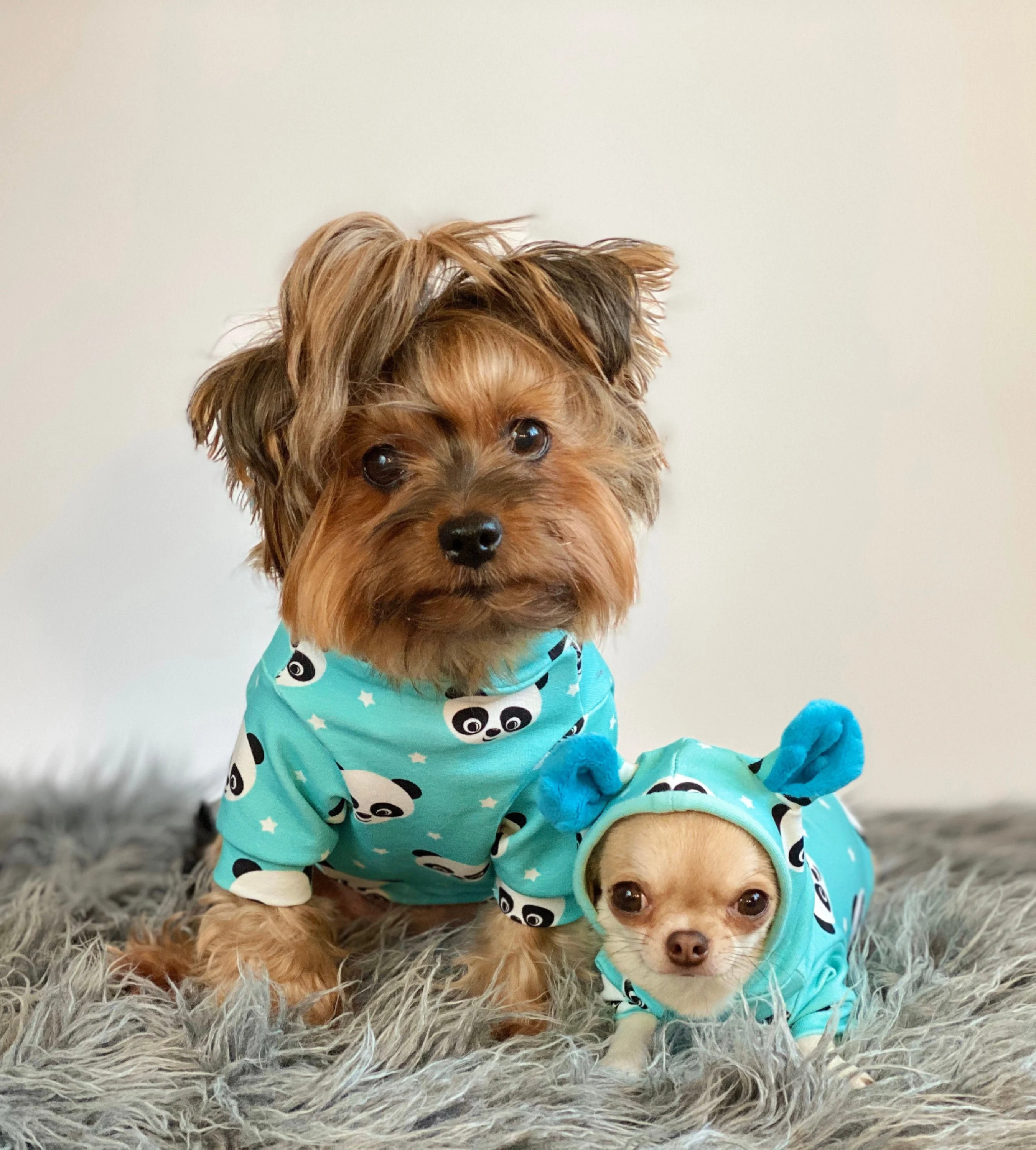 Luxury handmade dog outfit for small dogs