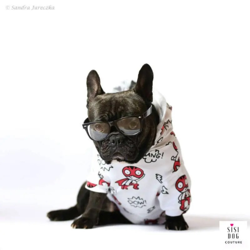 Handmade dog outfit from Sisi Dog Couture