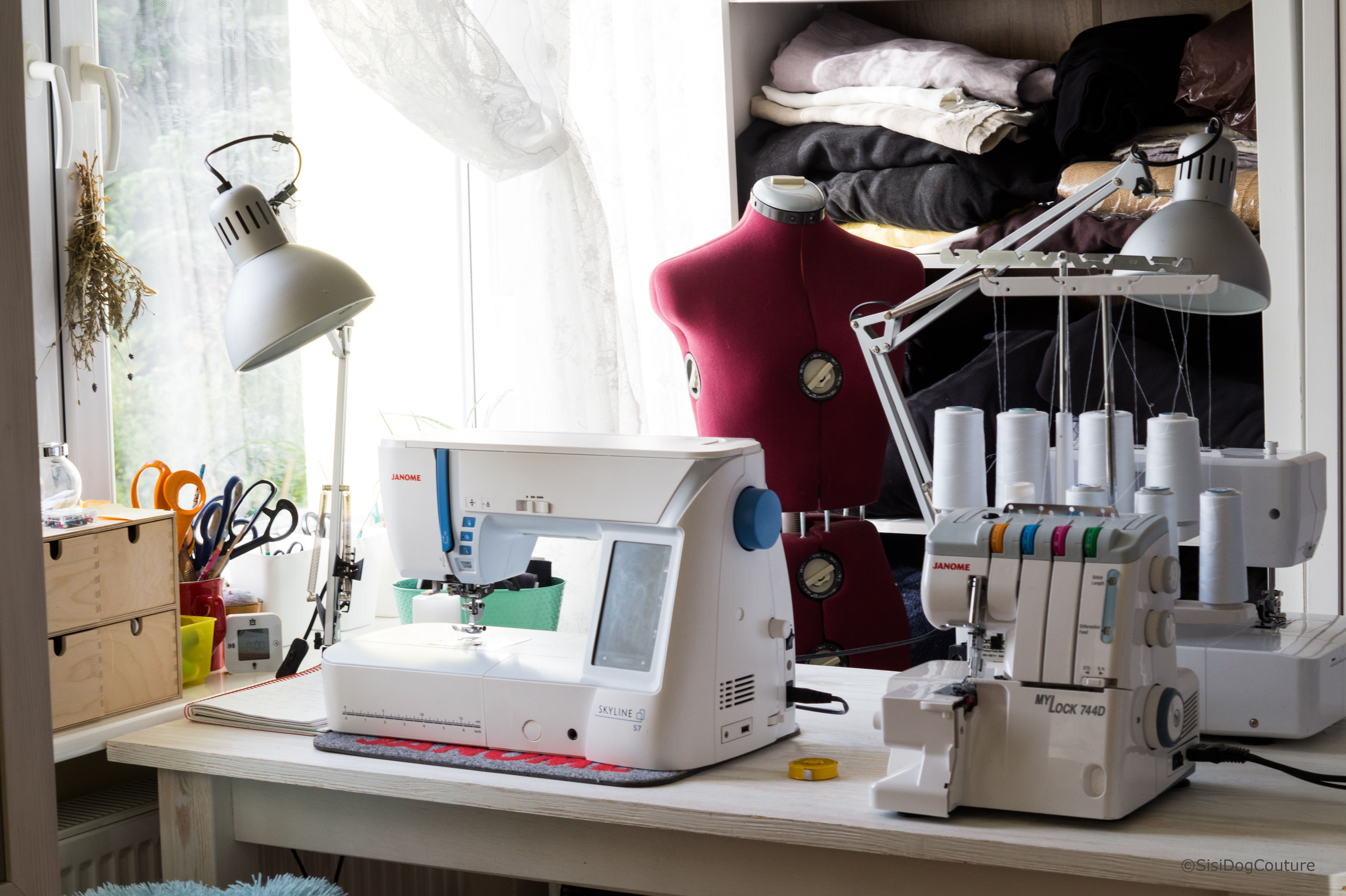Sisi w pierwszym ubranku SisiDogCouture
